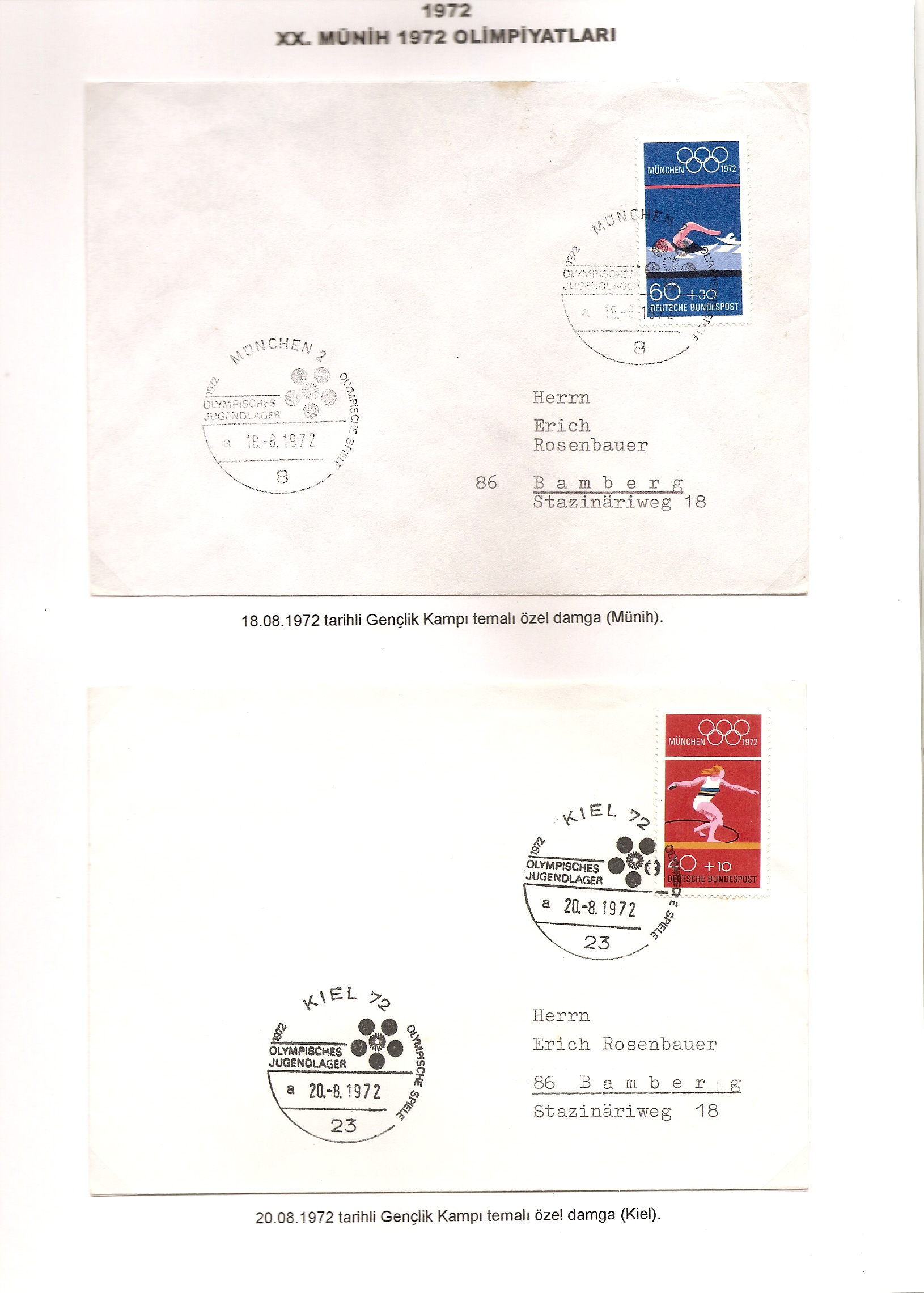 tarama0018