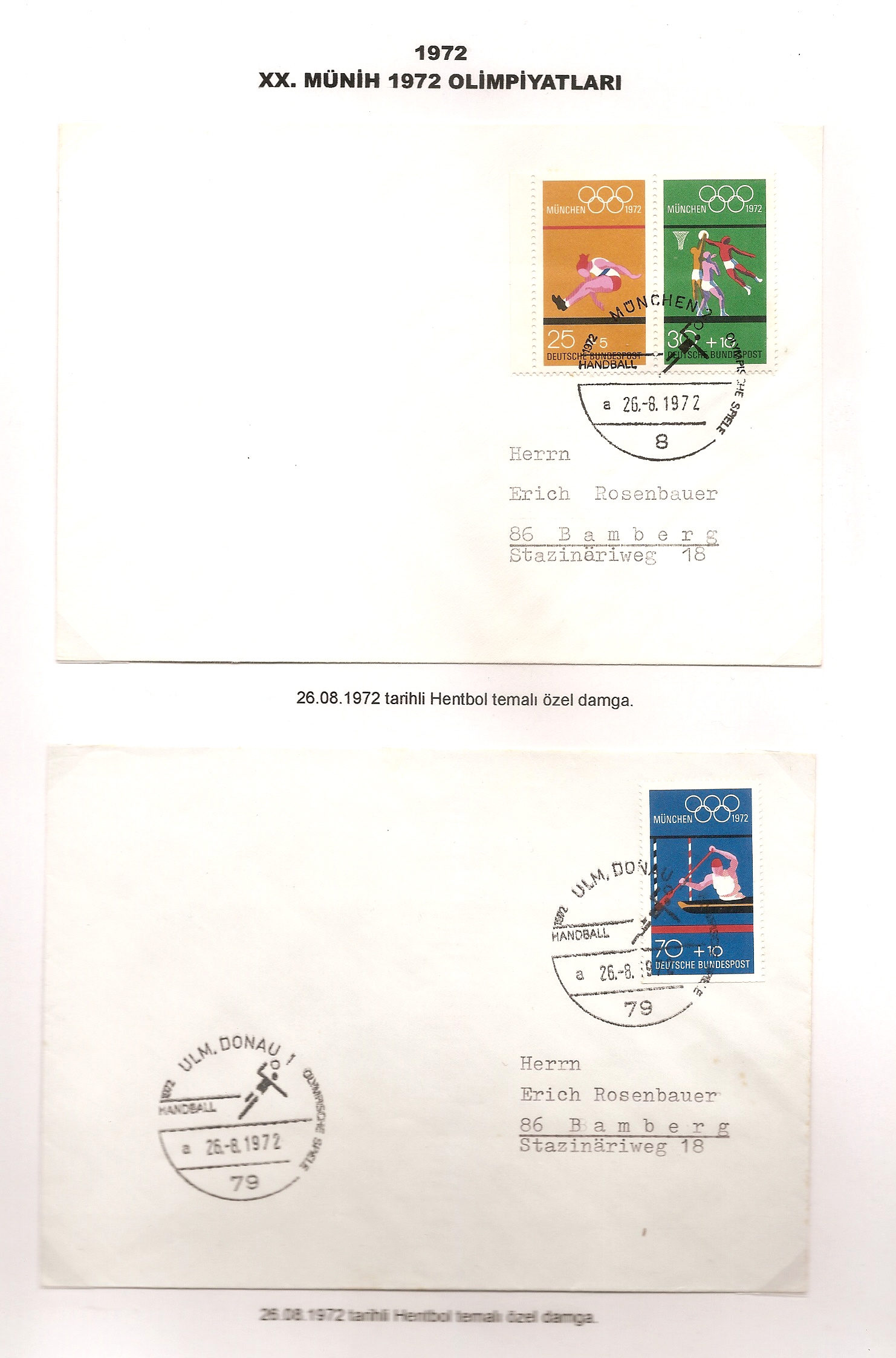 tarama0024